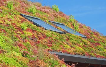Leekbrook living roof systems