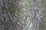 Leekbrook fibreglass roof work